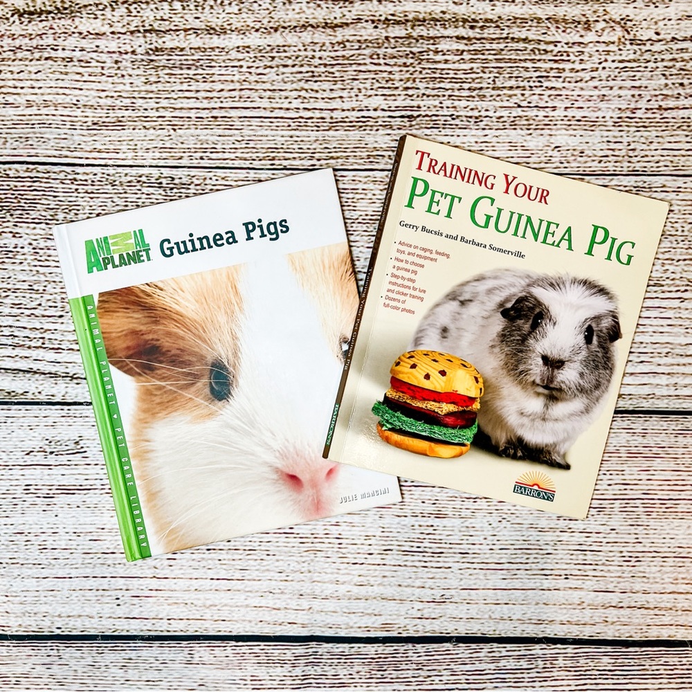 Set of Guinea Pig Books